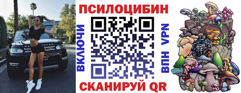 Псилоцибиновые грибы Cubensis  где купить наркоту  Янаул 