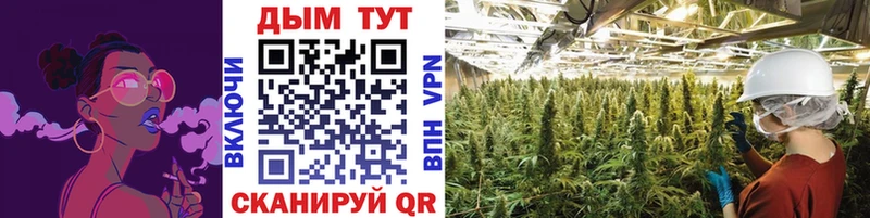 mega как зайти  Янаул  Конопля тримм  дарнет шоп 